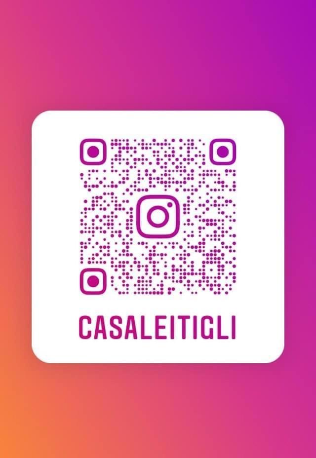 Casale I Tigli Bed & Breakfast Lucca Luaran gambar